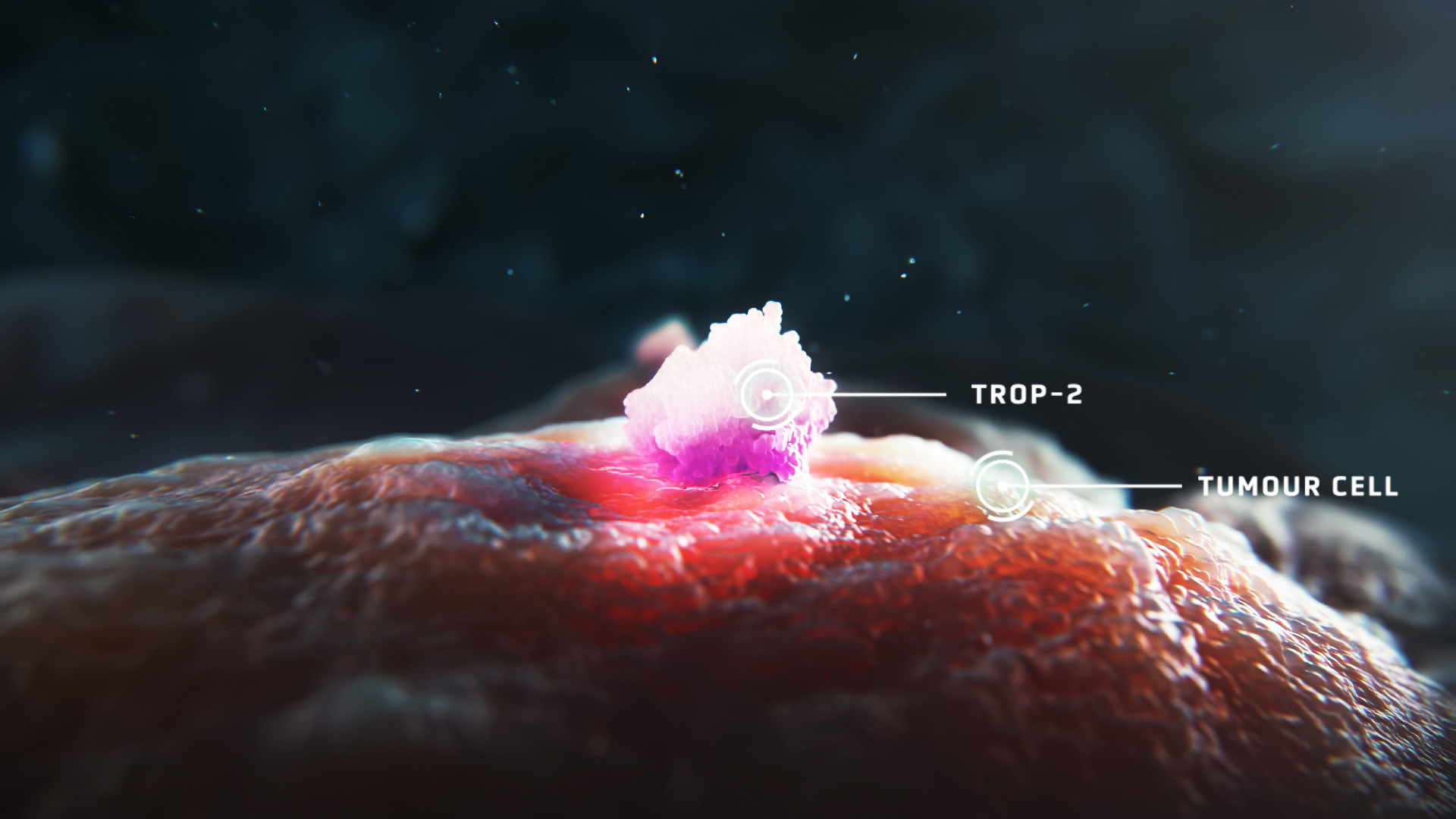 TROS0046_Advertorial_Sverige_och_Norge