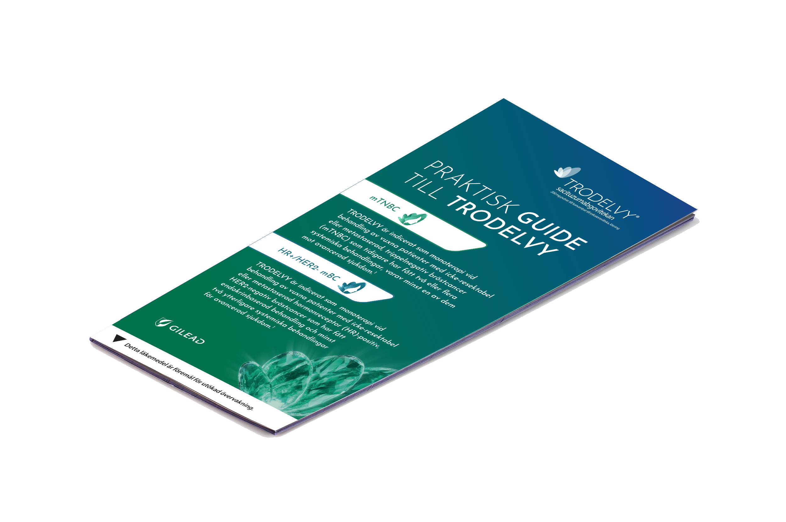 Praktisk-guide - Brochure-3D-trodelvy white